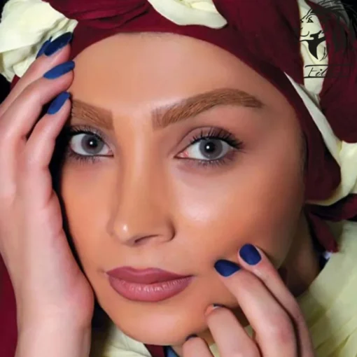 لنز آرین دارک گری تن 1