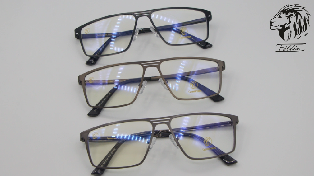 فریم فلزی مردانه 2 پل